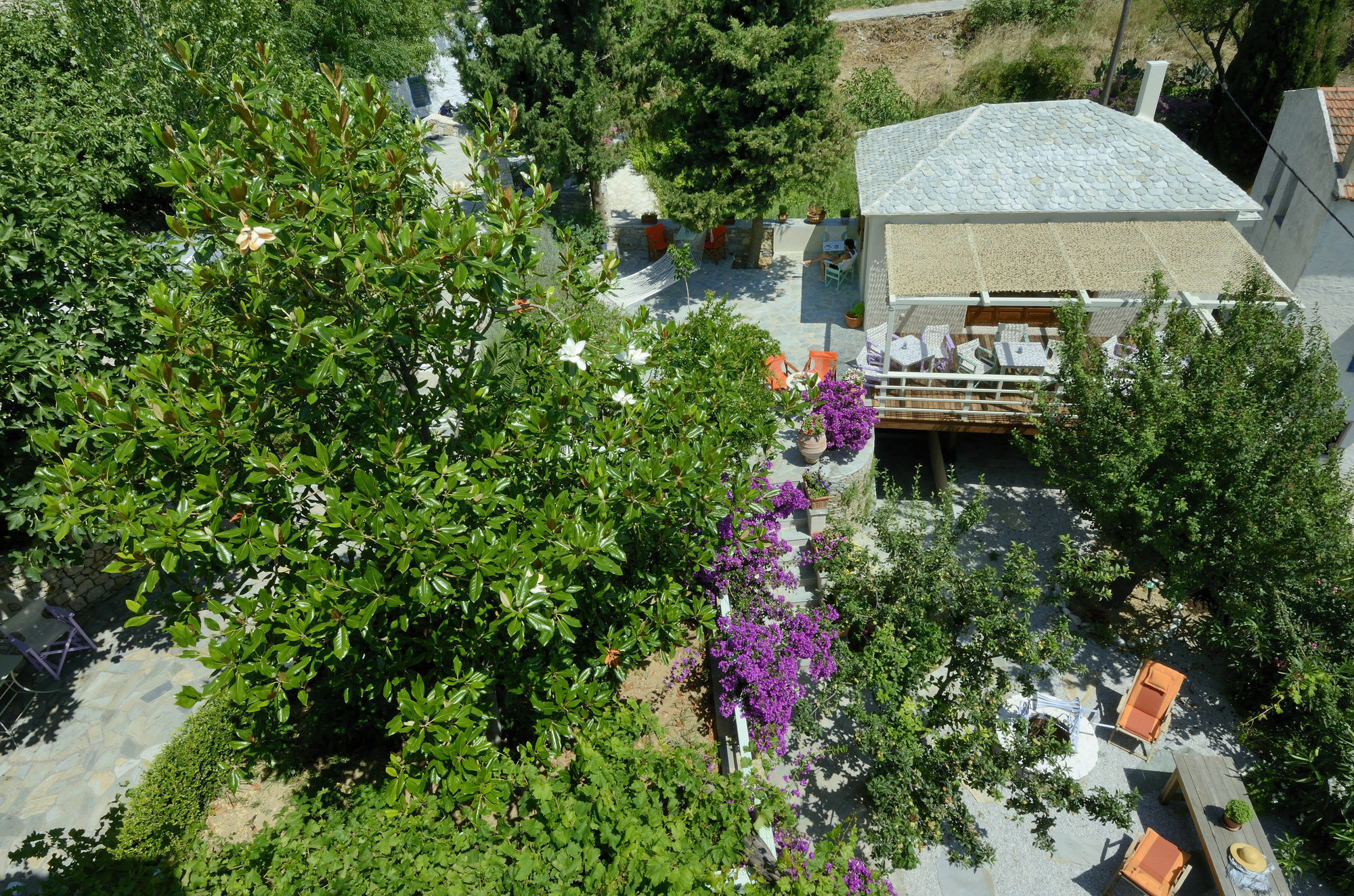 Konstantina Studios Alonnisos Town Exterior photo